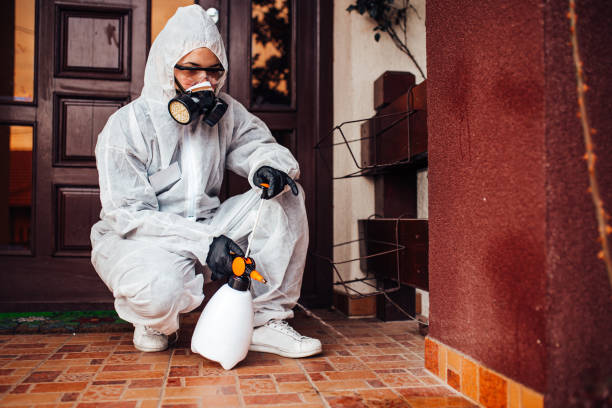 Reliable Ant Control contractor in Fayetteville, TN by Nex Pest Control