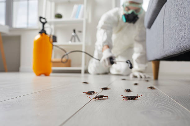 Trusted Termite Control service in Fayetteville, TN - Nex Pest Control